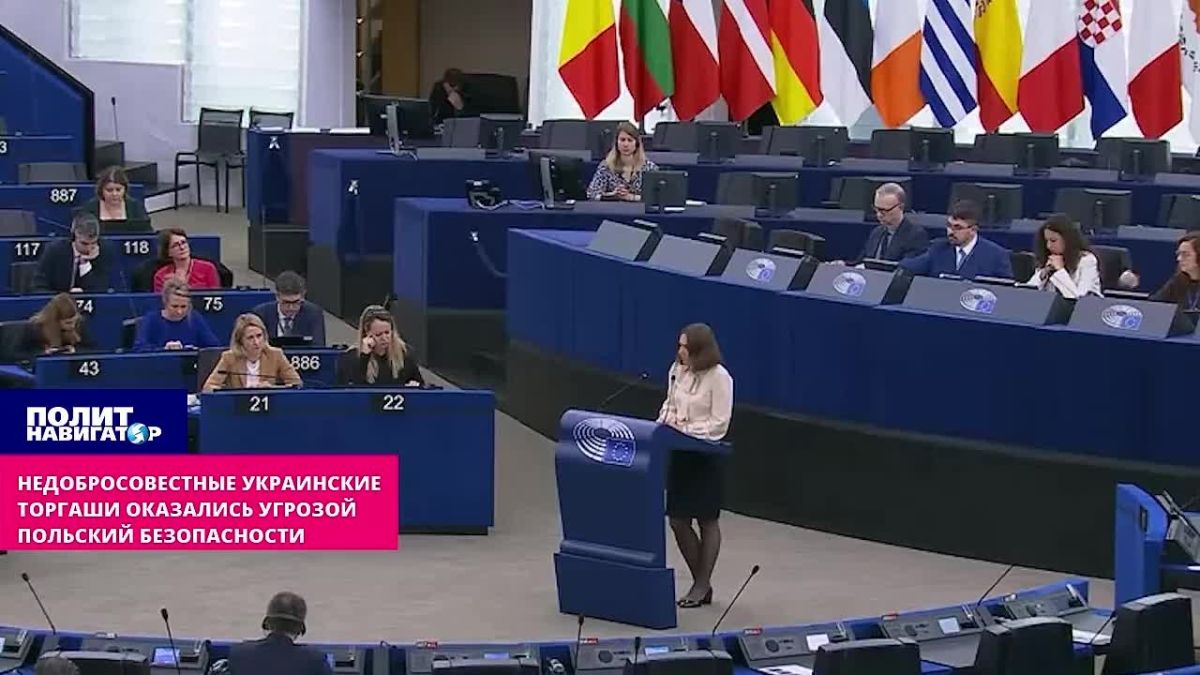 Блокадное украинское зерно задушило Восточную Европу – стоны из Европарламента