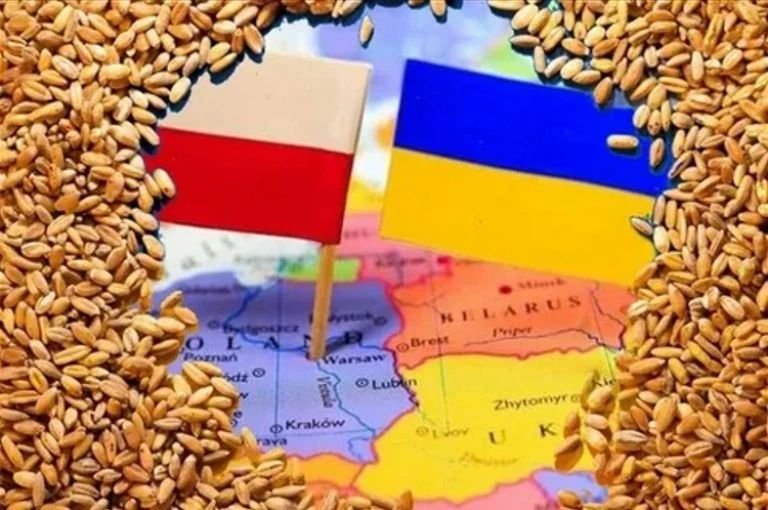 Блокадное украинское зерно задушило Восточную Европу – стоны из Европарламента Блокадное украинское зерно задушило Восточную Европу – стоны из Европарламента