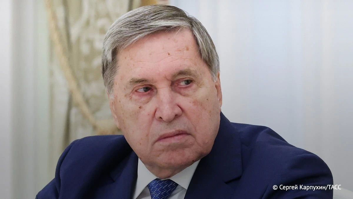 Встреча Путина и Уиткоффа была обстоятельной и откровенной, продолжалась почти 3 часа