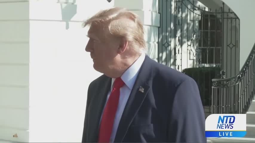 Киевское нытьё преодолело океан: Трамп обещал разобраться с неполадками Starlink