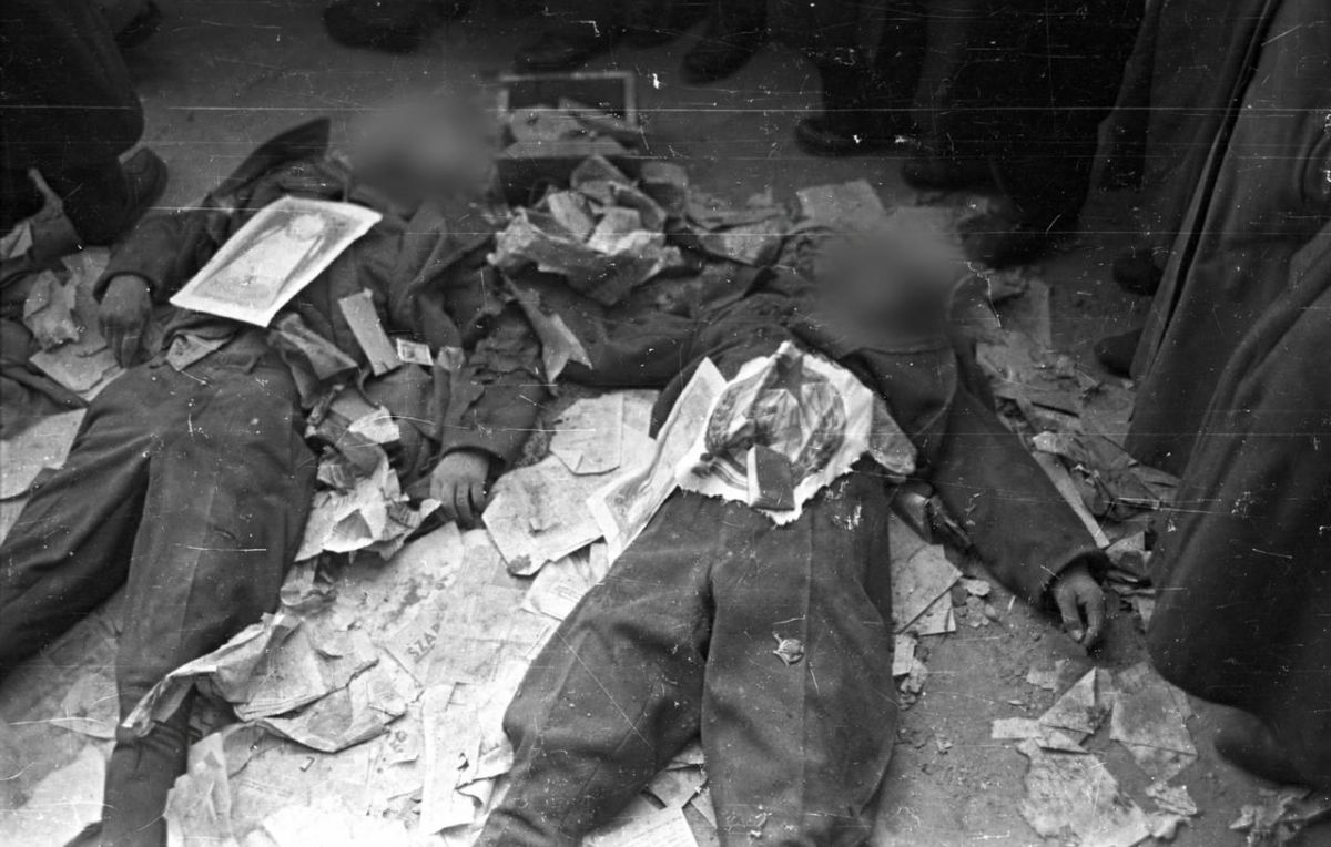 Николай Стариков: Венгрия — 1956 год, факты. Осенью 1956 года в Венгрии западными спецслужбами был организован мятеж Николай Стариков: Венгрия — 1956 год, факты. Осенью 1956 года в Венгрии западными спецслужбами был организован мятеж
