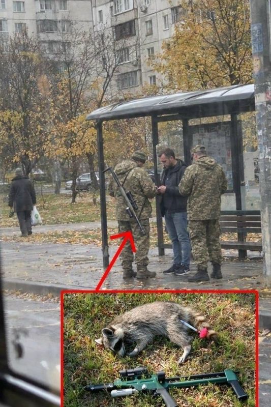 На Украине людоловы из ТЦК стали выходить на работу с ружьями, из которых стреляют ампулами со снотворным