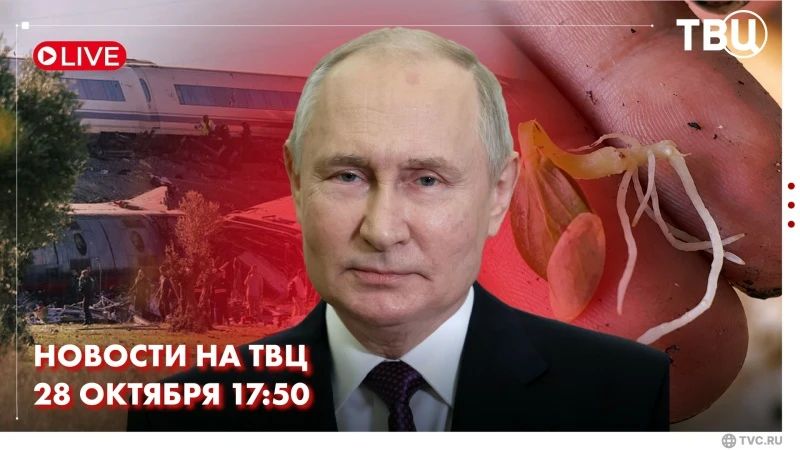 В Москве начал работу экономический и гуманитарный форум Россия — Африка