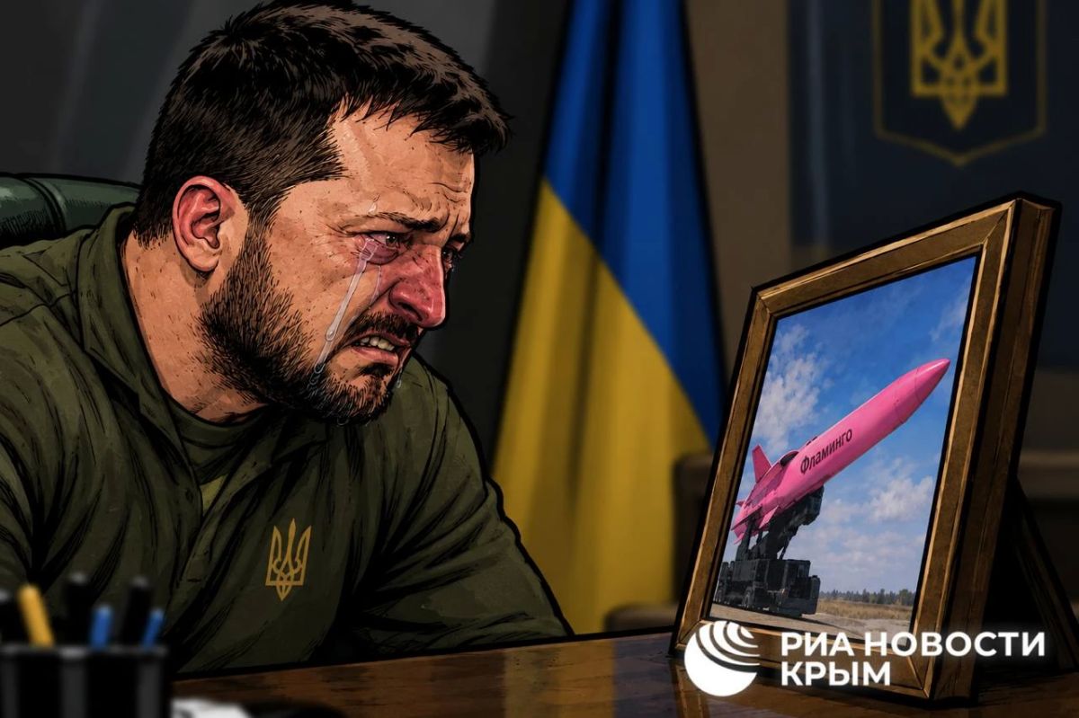 Очередной приступ истерики случился у Зеленского из-за количества ракет для Patriot
