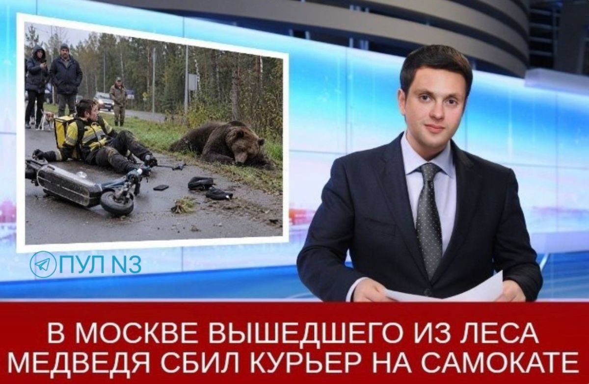 Мемы - самое разрушительное оружие в современном мире, их каждый день постит даже Трамп Мемы - самое разрушительное оружие в современном мире, их каждый день постит даже Трамп