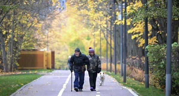 ��� � ������ ����� ����� �������: ���������� ����������� � 2026 ����